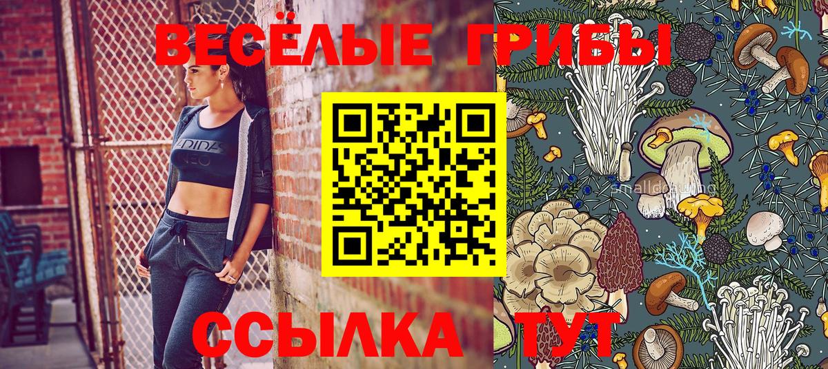 Псилоцибиновые грибы Psilocybe  Псилоцибиновые грибы мухоморы  Темрюк 