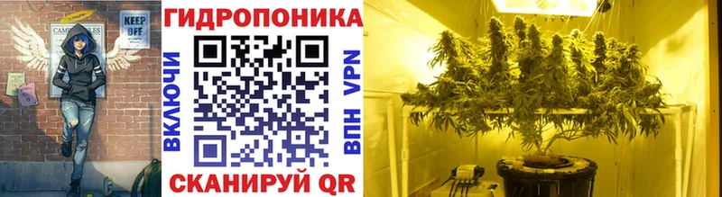гидра ONION  Темрюк  Бошки Шишки тримм  сколько стоит 